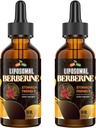 Berberine dodatek s Ceylon Skořice 3000mg - Vysoká biologická dostupnost Lipozomální Berberine kapalné kapky, Berberine HCL komplex plus turmerické doplňky, AMPK Activator, Vhodné pro ženy, Men- 120ml