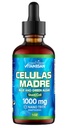 Celulas Madres Stem Cell Support, Plant- based, Adaptogen Blend, Cordyceps, Rhodiola Rosea, Afa, Astragalus, B Complex, Reishi, Ganoderma, Blue- Green Algae, Spirulina, 1000mg Natural 13 Klíčové složky.