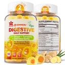 Ginger Chews Gummies for Nausea & Digestive Support, Žaludek Relief, Cukr zdarma s kurkumou, Odorless česnek, Quercetin, Vitamin D3, Digestivní doplňky pro příležitostné nafouknutí & Gas, 2Pack