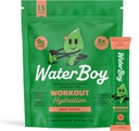 Waterboy cvičení Hydratace 124; 2,960mg Sugar Free Electrolyte Powder Packets 124; L- glutamin + Vitamíny 124; No Sugar, All Natural, Gluten Free 124; 15 Drink Stick Mixes (Ovocný punč)