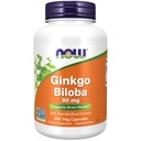 Nyní Potraviny doplňky, Ginkgo Biloba 60 mg, 24% Standardizovaný extrakt, Non- GMO projekt ověřen, 240 Veg Kapsle