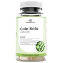 Příroda Obnovit Gotu Kola Extract Dodatek, Standardizované na 10 Procent Triterpenes, Vyrobeno v USA, 90 Kapsle, Non GMO, Gluten Free, Vegan