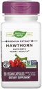Nature 's Way Hawthorn Berries, 90 Kapsle (Balení po 2)