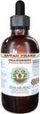 Cranberry Alcohol- Free Liquid Extract, Cranberry (Vaccinium Macrocarpon) Sušené Berry Glycerite Hawaii Pharm Natural Bylinný doplněk 2 oz