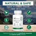 Palmitoylethanolamid Pea dodatek 600mg - Mikronizované Pea doplňky 99% - 2 měsíce Dodávka - Pokročilá přírodní podpora společného komfortu