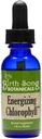 Narození Song Botanicals Energizing Chlorofyl Tinktura, Super Koncentrované kapalné chlorofylové kapky, Bylinné Energy Supplement a vnitřní deodorant, Mint Flavor 1oz láhev