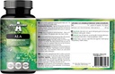 APOLLO 'S HEGEMONY ALA (Alpha Lipoic Acid) 600 mg - 60 Vegan Kapsle - Optimalizuje Glukózu Management - Podporuje Mitochondriální zdraví - Dva měsíce Dodávka