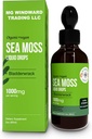 Organic Moss Liquid Kapky 124; 30.000 MG Dub 124; Mos moře s Bladderwrack, Elderberry Dub 124; 4X Silnější Organic Moss než pilulky a kapsle pro celkový zdravý život! 1 lahvička