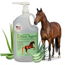 Doc Hoag 's Aloe Vera + Agave Premium Horse Supplement - Made in USA - Original Ucorder Balm - Natural Gastric Support for Horses & Large Animals - Stress Relief & Ulcer Care, 128 Fl Oz.