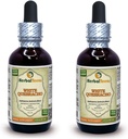 Bílá quebracho (Aspidosperma Quebracho- Blanco) tinktura, sušený prášek tekutý extrakt (značka: HerbalTerra, Prooudly Made in USA) 2x2 fl.oz (2x60 ml)