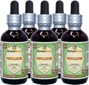 Psylium (Plantago Ovata) Glycerit, Organic Sured Husk Alcohol- Free Liquid Extract (Značka: HerbalTerra, Proudly Made in USA) 5x2 fl.oz (5x60 ml)