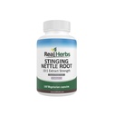 Real Herbs String Nettle Root Extract 7500mg (750mg z 10: 1 Extract) - Vegetarian Friendly, Non- GMO, Gluten- Free - Podporuje Prostate & Urinary Health - 100 Kapsle