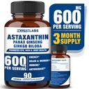 Astaxanthin 15 mg + Panax Ginseng, Ginkgo Biloba doplňky, 90 Vegan Kapsle, Promotes Eye Health Energy, Kardiovaskulární podpora + imunitní obrana a soustředění