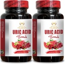 Acid Support URIC - Tart Cherry Capsules, Celery Seed Acid Supplement, Podpora mobility, Joint Comfort & Ledviny Support Pills - 2 Lahve 120 Kapsle