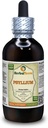 Psylium (Plantago Ovata) tinktura, organický sušený husk tekutý extrakt (značka: HerbalTerra, Proudly Made in USA) 4 fl.oz (120 ml)