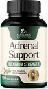 Adrenal Supplements Cortex Complex, Nejlepší doplněk energie, Podporuje Cortisol Zdraví & Energetické Úrovně, Denní Ashwagandha pro ženy & Muži, Podporuje Adrenal Únava & imunitní systém, 120 Kapsle