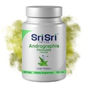 Andrographis Paniculata doplňky - 60 tablet Herbals na bázi rostlin Respirační Wellness - Imunitní síla Rezorativní Andrographis tablety - 500 Mg Organic Green Chiretta Herb