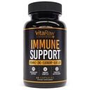 Imunitní podpůrné vitamíny - Elderberry se zinkem, vitamínem C, a česnek pro dospělé - Sambucus Black Elderberry Kapsle & Echinacea Obnovitelný komplex imunity