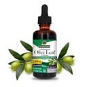 Nature 's Answer Olive Leaf Extract, Alcohol- Free, Non- GMO, Vegan, gluten- Free, Made in USA, 2 Ounce Ounce Olan124; Olive Leaf Extract for Wellness