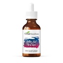 Bylinné dobroty Hořký Ale žádný blbost tekutý dodatek pro vyčištění těla, Podpora energie a zdraví Zvýšení OR 124; Non-GMO Burdock Root Organic, Hořký Melon, Maca Root, Pampeliška Root - 2 fl. Oz per Bottle