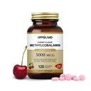 Methyl B-12 5000mcg Žvýkací s folátem - Vitamin B12 Methylkobalamin Sublingvální tablety - Podporuje energetickou a mozkovou funkci - Veganský dodatek - třešňový flavor - 120 Počet