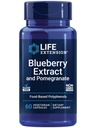 Life Extract Blueberry a Granátová jablka, arteriální podpora zdraví, antioxidační obrana, gluten- Free, Non- GMO, Vegetariánské, 60 Vegetariánské Kapsle