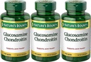 Příroda 's Bounty Glucosamine Chondroitin Complex, 110 Počet (balení po 3)