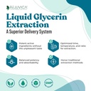 NerveFactor - Advanced Nerve Support Supplement - Liquid Delivery for Better Absorption - Acetyl- L- karnitin, alfa kyselina lipoová, vitamín B12, kyselina listová, bílá Willow Bark & Více!