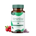 Brusinkové pilulky - Močové Tract Health Cranberry Dodatek - 36mg potentní PACs - Non GMO, Vegan, gluten Free - by Heale - 30 Kapsle