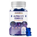 Alpha GPC Choline Gummies 600 mg s Fosfatidylserine & Bacopa - 3-in-1 Brain Support for Memory, Focus & Long- Term Cognitive Health - Sugar- Free, Natural Formule, 60 Počet