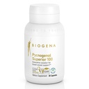 Biogena Pycnogenol 100 mg Gold s prémiovým patentovaným francouzským výňatkem z borovice (Pinus Pinaster) na podporu krevního oběhu