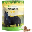 Silver Lining Byliny Nolasix Lung & Circulation doplňky pro koně - Přírodní Bylinné Koně Dodatek pro oběh, Srdce Zdraví & Lung Podpora - Normální dýchání & Cévní podpora - 1 LB