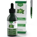 Chlorofyl Liquid Drops - 100% Natural Energy Booster and Immunication Support - Internal Deodorant and Detox - Altitude Nemoci Relief - Rychlá absorpce, Vegan & Non- GMO - 120 Služeb (Balení 1)