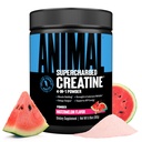 Zvířecí supernabitý Creatin Powder - Ochucené stvoření Monohydrát Vylepšený Betaine Bezvodý, PurpleForce & Senactiv, Síla, Vytrvalost, Muscle Recovery pro muže a ženy - Meloun, 300g