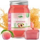 ACEYO (18 OZ) Irish Sea Moss Gel Organic Raw Vegan Peach Flavor 102 Vitamíny a minerály Wild Sklizeň Non-GMO imunitní obrana Booster štítné žlázy Digestivní podpora
