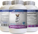 Bad Dog Dech Remedy - PROBIOTIcs for Dogs - Zdravý Gut - Stop gas Diarhea and Bad Breath - Digestive Boost - Psí probiotika Bad Breath - 1 lahvička (60 procedur)