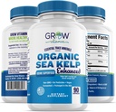 Organic Sea Kelp (Island) Enhanced - Čistá zdravá podpora štítné žlázy přírodní doplněk jódu w / Organic Sea Kelp, Blue- Green Algae & Red Algae - imunitní systém & Metabolismus Podpora - 90 Kapsle