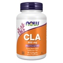 Nyní doplňky, CLA (konjugovaná kyselina linolová) 800 mg, Nutritional Oil, 90 Softgels