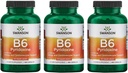 Swanson B6 Pyridoxin - dodatek k vitamínu na podporu kardiovaskulárního zdraví a energetického metabolismu - Natural Formule na podporu celkového wellness - (250 Kapsle, 100mg každý) 3 balení