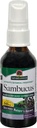 Příroda odpověď Sambucus Syrup Extract Spray 2 Fluid Ounces CLAS124; Imunitní Booster na Go CLAS124; Cestování Friendly CLAS124; Bohatí v antioxidanty CLAS124; Přírodní imunitní podpora