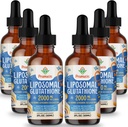2000MG Liposomal Glutathione Liquid, 98% Absorpce, Aktivní forma L-Glutathione dodatek, Vegan Friendly, Výkonný antioxidační komplex pro imunitní systém, Stárnutí obrany, Detox, 12 FL.OZ