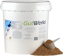 Horsetech GutWerks (10 liber)
