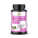 Čistá Pueraria Mitigaa Dodatek 500mg Root Extract Powder Imported from Thailand - Promotes Women 's Health, Organic Natural Herbal, 60 Veggie Kapsle