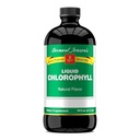 Bernard Jensen je 100% čistý přírodní chlorofyl Flavor Liquid dodatek 124; Promotes Alkalie Ph Factory 124; Pomáhá čistit krev 124; 16 Fluid Ounce (474 ml)