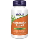 Nyní Potraviny Imunitní podpůrné doplňky, Astragalus Extract 500 mg (Standardizované na 70% Polysacharidy), 90 Veg Kapsle