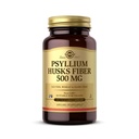 Solgar Psylium Husks Fiber 500 mg - 200 Zeleninové kapsle - Non- GMO, Vegan, Gluten Free, Dairy Free, Kosher - 100 Služeb