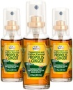 Beelife Propolis Krční sprej - Soothing Honey & Ginger Propolis Spray - Přírodní imunitní podpora & Bee Propolis Extract- Antioxidanty, bohaté na flavonoidy & Artepilin, bez cukru, gluten- Free- 3- Pack, 90ml