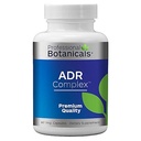 Profesionální botaniky Adrenal Complex Doplněk - Podporuje zdravé funkce nadledvin, stres a energetické hladiny - 90 Vegetariánské kapsle