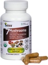 Sayan 7 Houba Extract 90 Kapsle / 440mg ea - imunitní podpora & Energie - Organic Chaga, Reishi, Lion 's Mane, Maitake, Shiitake, Turecko Tail Adaptogen Blend - Vegan, Non- GMO, No Fillers or Additives