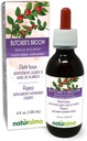 Naturalma Butcher 's Broom (Ruscus aculeatus) Root Alcohol-Free tinktura - 4 fl oz Liquid Extract in Drops - Bylinný dodatek - Vegan